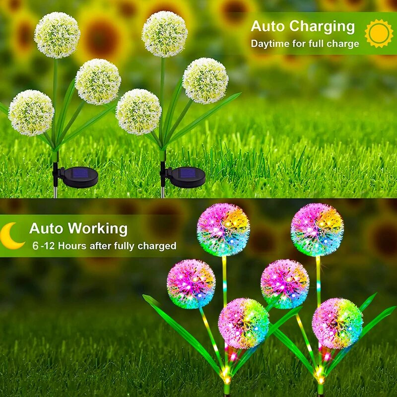 800x800_6566fb21b2037