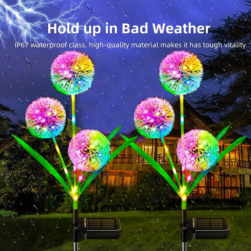 800x800_6566fb225f0c7