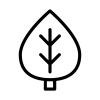 lis-1.webp