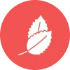 list-5.webp